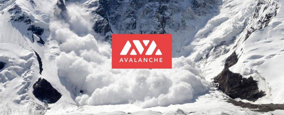 以雪崩之势改造世界，纵览 Avalanche 生态